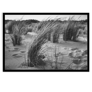 Landscape 003